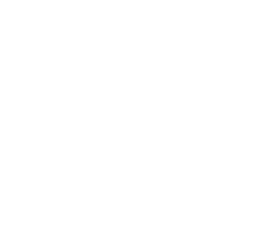 Xtrepadel Logo